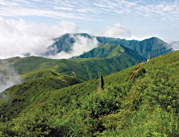 中国矿业报：创新驱动，催生找矿硕果