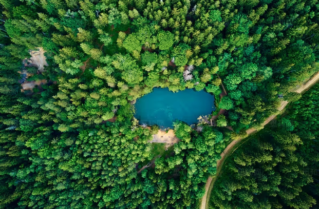 江西省不断加强与中国地质调查局、矿业企业的协同推进，打破“单兵作战”格局，形成“中央-地方-企业”联动的找矿格局